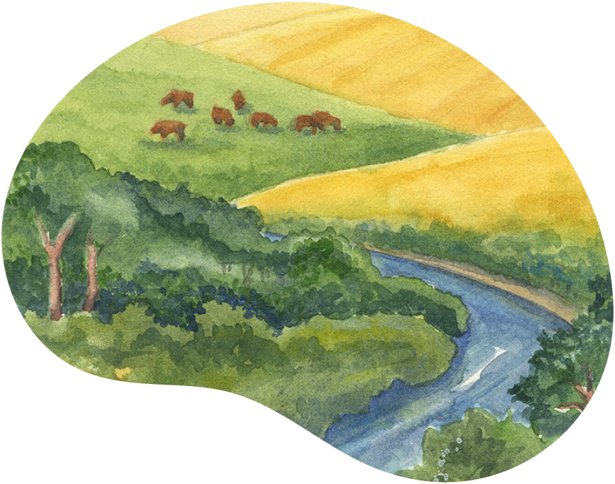 Oil painting of an aerial view of a riparian area