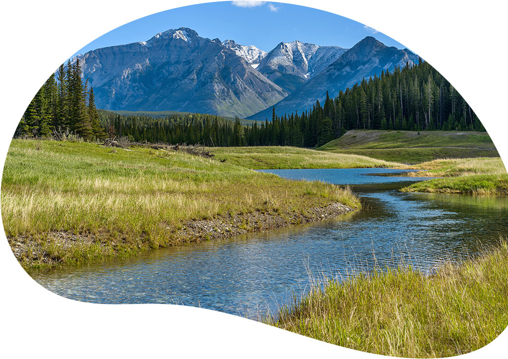 An open space in the forest with a view of a narrow creek going into the mountains