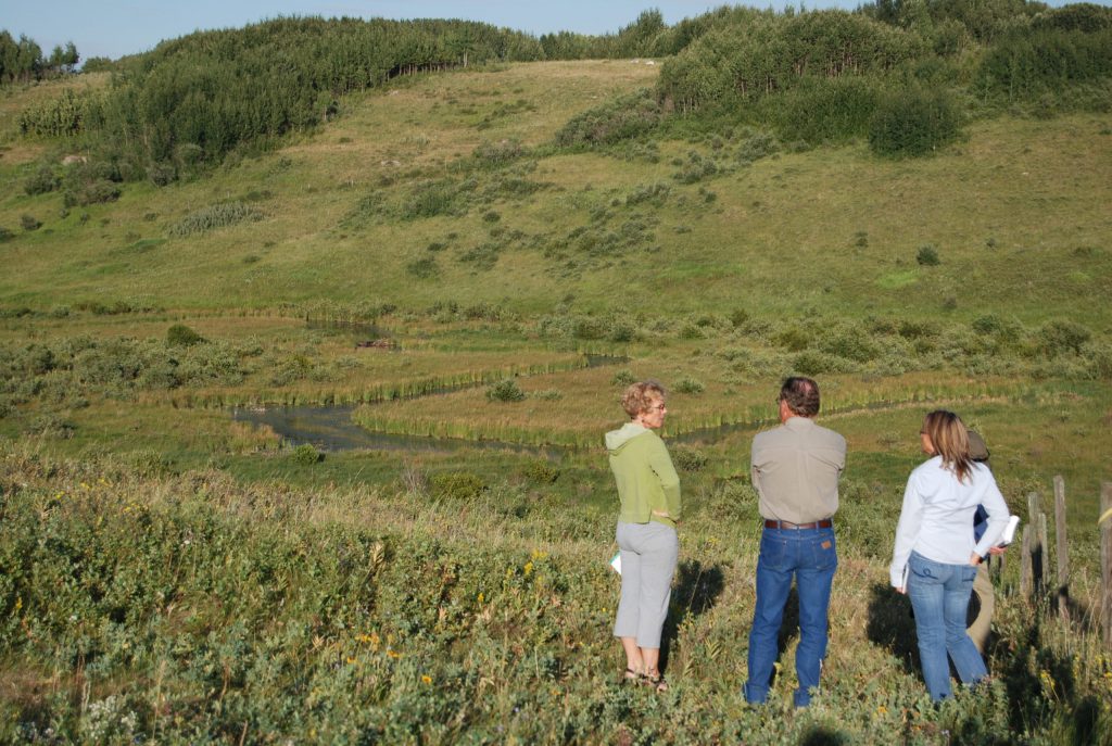 3 people standing in a riparian area