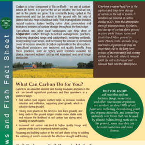 Grazing, Cropping and Carbon
