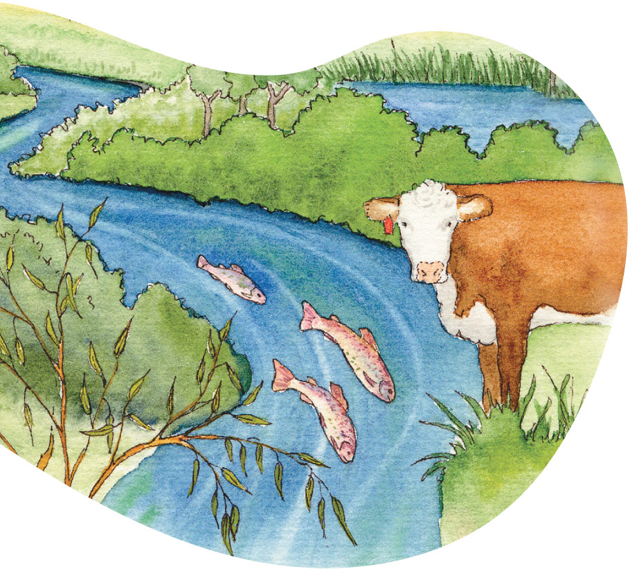 Oil painting of a cow and a stream full of fish
