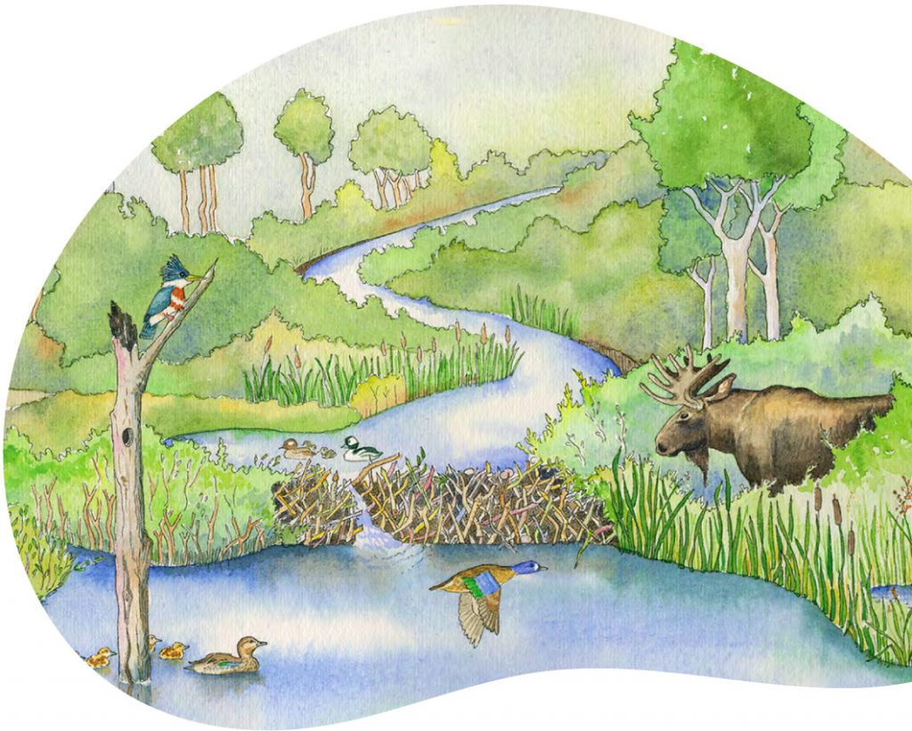 Oil painting of a riparian area featuring a moose, several ducks and a woodpecker perched in a tree