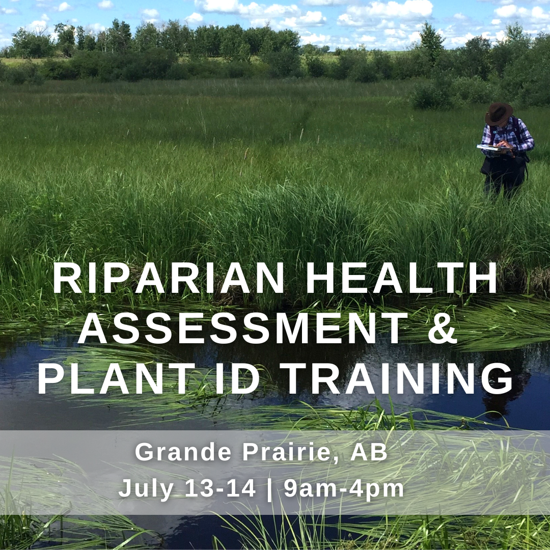 Riparian Health Assessment & Plant ID Training in Grande Prairie