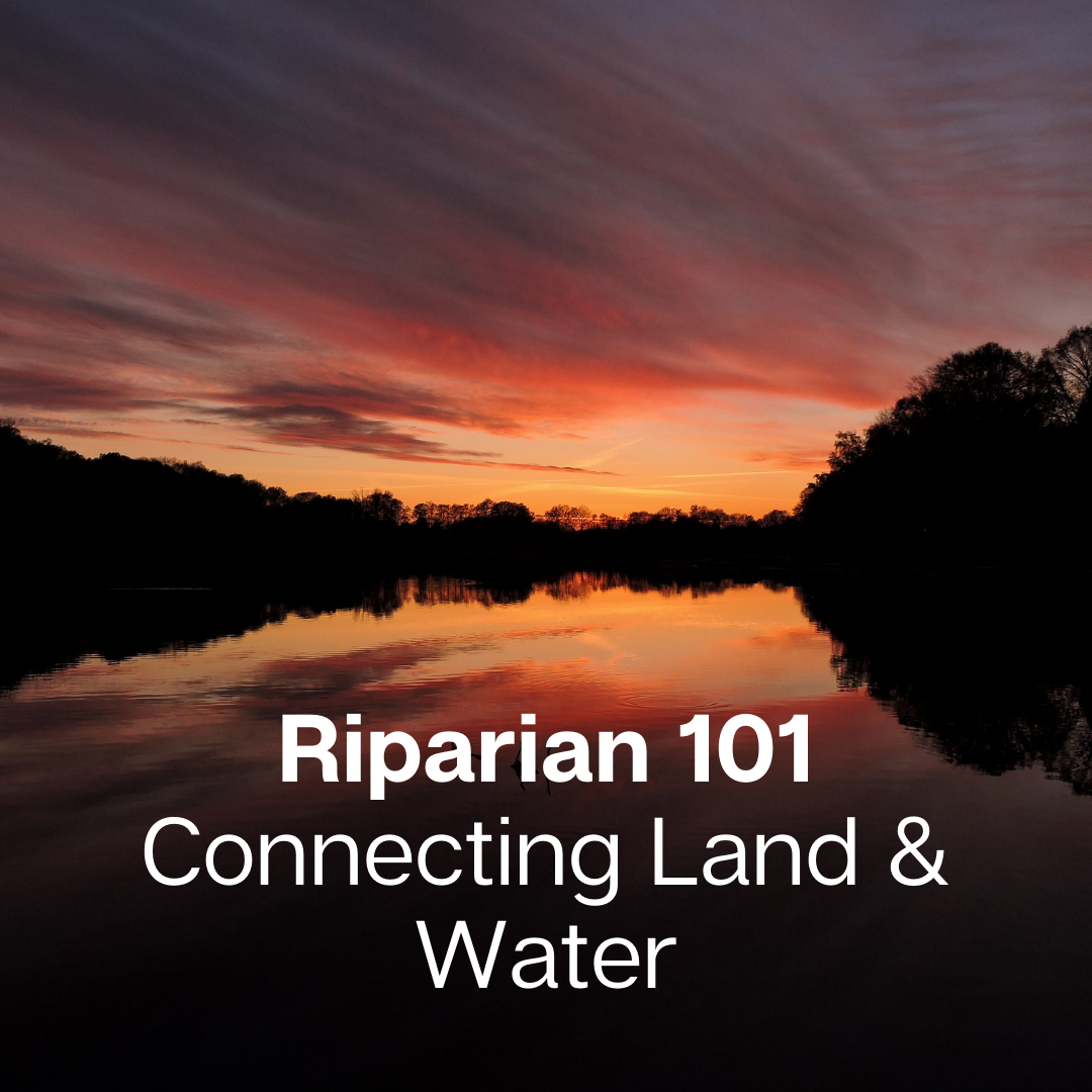 Riparian 101 - Connecting Land & Water