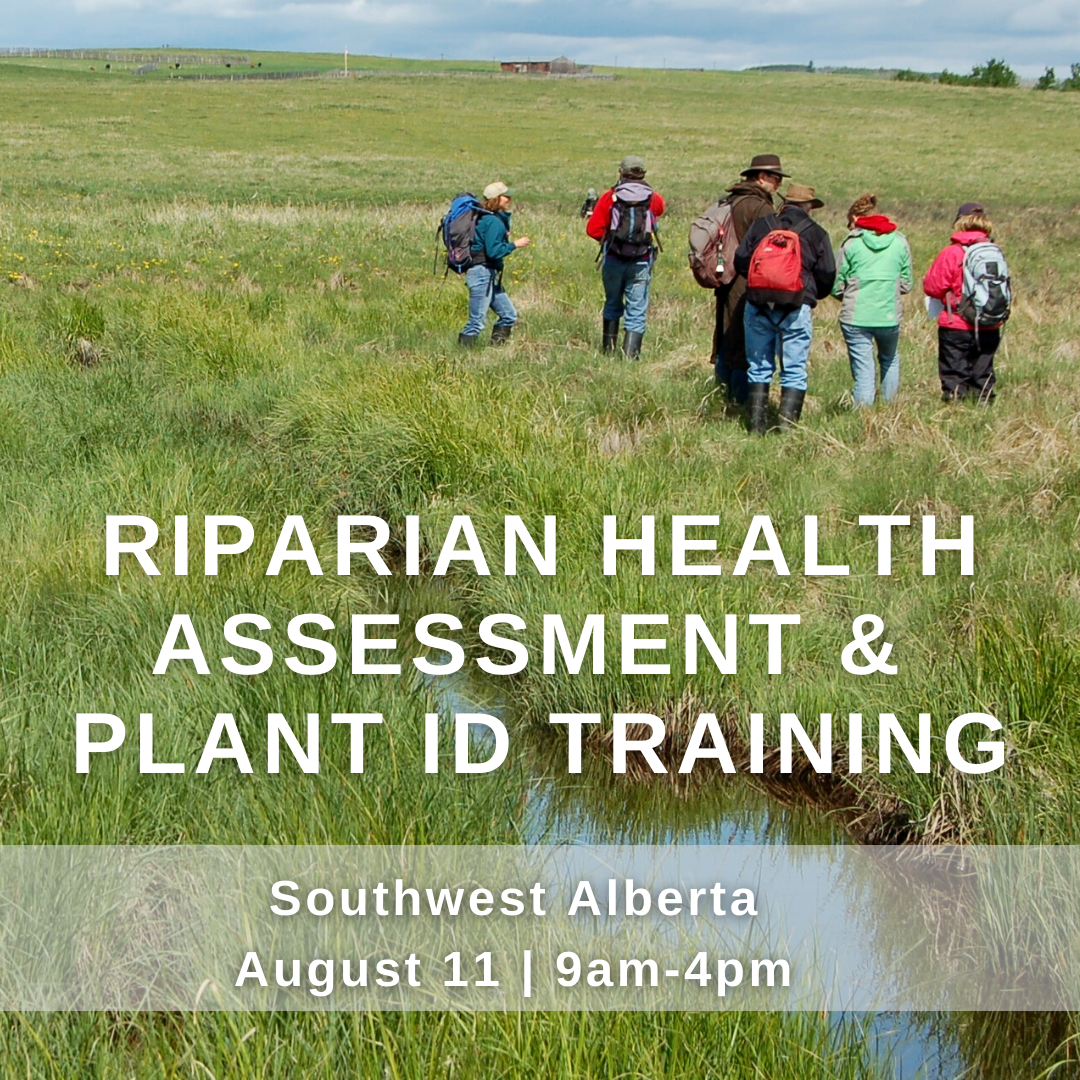 Riparian Health Assessment & Plant ID Training in southwest Alberta