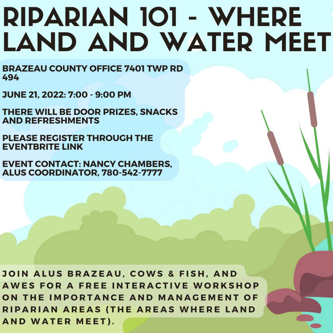 Riparian 101 - Where Land and Water Meet